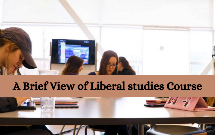 A Brief View of Liberal studies Course